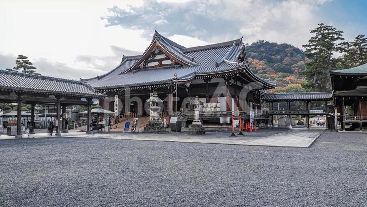 75番札所　善通寺　御影堂 善通寺,御影堂,お遍路の写真素材