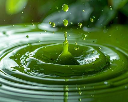 グリーンのお茶 グリーンのお茶の写真