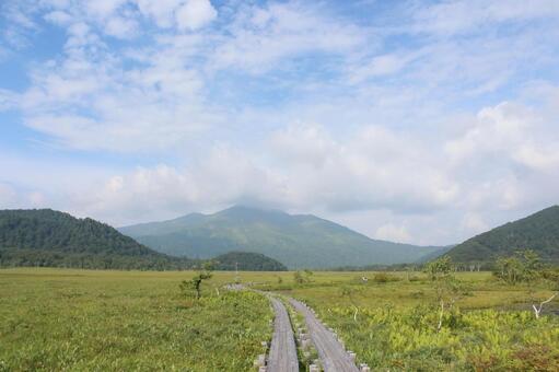 湿原の木道 尾瀬,湿原,木道の写真素材