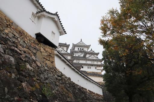 姫路城 姫路城,秋,城の写真素材