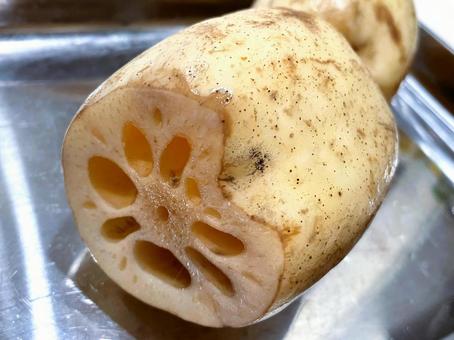 レンコン（蓮の地下茎）５ レンコン,蓮,地下茎の写真素材