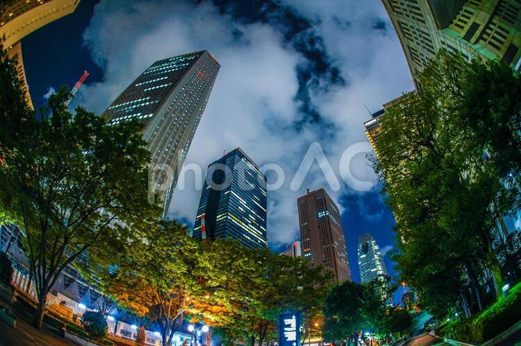 東京新宿の高層ビル群の夜景 新宿,西新宿,夜景の写真素材
