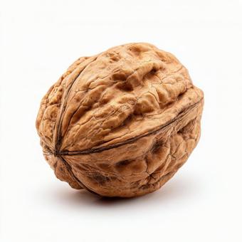 健康的な食生活に:美味しそうなクルミ 健康的な食生活に:美味しそうなクルミの写真
