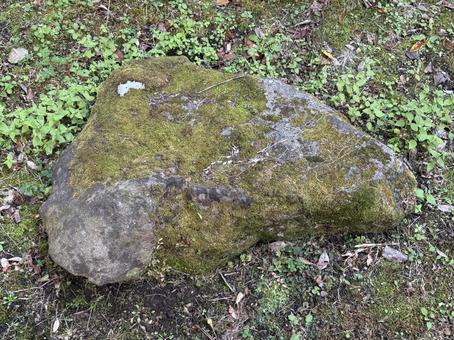 庭石 庭石,苔,背景の写真素材