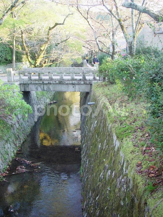 哲学の道　琵琶湖疎水分流2 哲学の道,京都市左京区,晩秋の写真素材