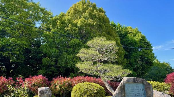 福渡の庭 風景,自然,景観の写真素材