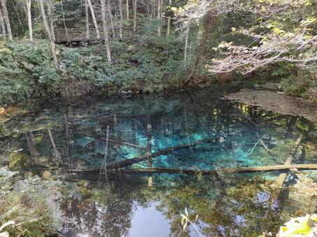 神の子池 神の子池 秘境,神秘的,神の子池の写真素材