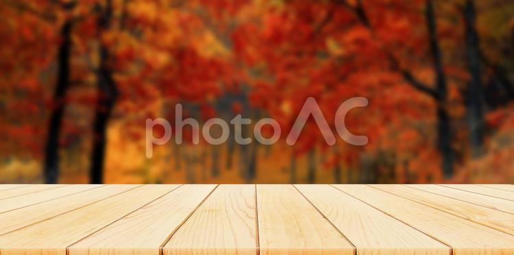何もないテーブルとぼやけた紅葉の背景 テーブル,背景,ホワイトの写真素材