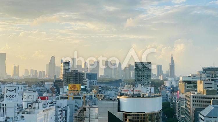 渋谷からの風景 都心,渋谷,風景の写真素材