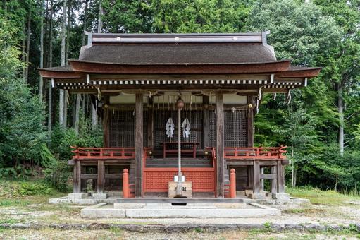 滋賀 日吉大社 早尾神社 本殿 滋賀 日吉大社 早尾神社 本殿 日吉大社,日枝社,日吉の写真素材