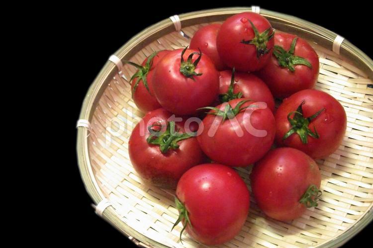 トマト　#17 トマト,tomato,野菜の写真素材