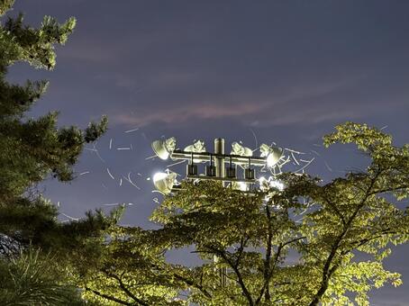 虫が群がる照明周辺 グラウンド照明,投光器,夜の写真素材