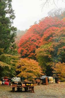 養老渓谷 養老渓谷,筒森もみじ谷,紅葉の写真素材