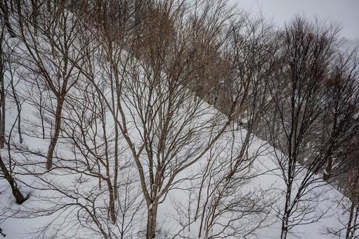 谷川岳ロープウェイから見た景色 谷川岳ロープウェイから見た景色の写真