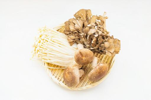 ざるに盛られたキノコ　秋の味覚 きのこ,椎茸,舞茸の写真素材