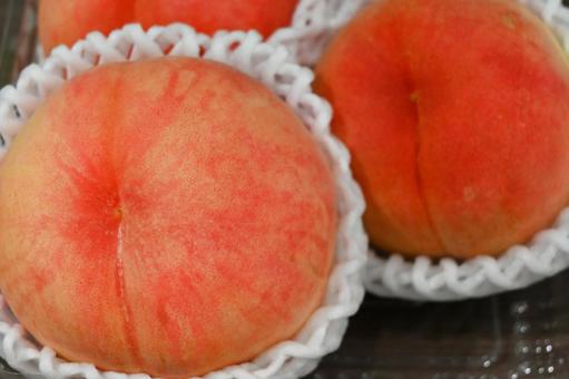 桃 桃,もも,果物の写真素材