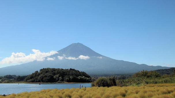 初秋の河口湖畔で色づき始めたコキア 初秋の河口湖畔で色づき始めたコキアの写真