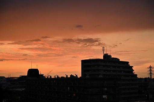 東京の市街地と夏の夕暮れ 東京の市街地と夏の夕暮れの写真