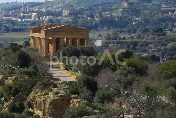 アグリジェントの遺跡地域 遺跡,歴史,ギリシャ文明の写真素材