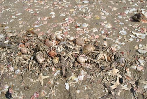 ベトナムの風景 ベトナムの風景の写真