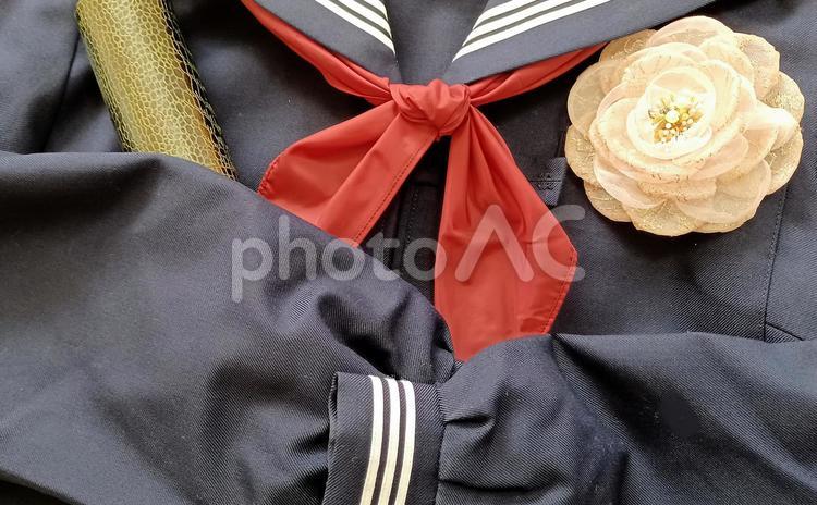 卒業イメージ(制服、丸筒) 卒業,卒業式,セーラー服の写真素材