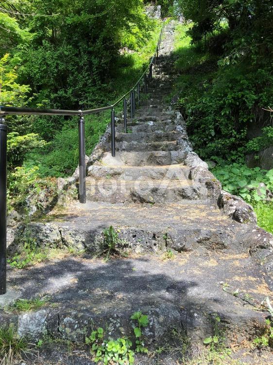 緑の中の石段 石段,階段,森林の写真素材