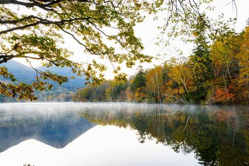 オンネトーの紅葉 オンネトーの紅葉 オンネトーの紅葉,オンネトー,紅葉の写真素材