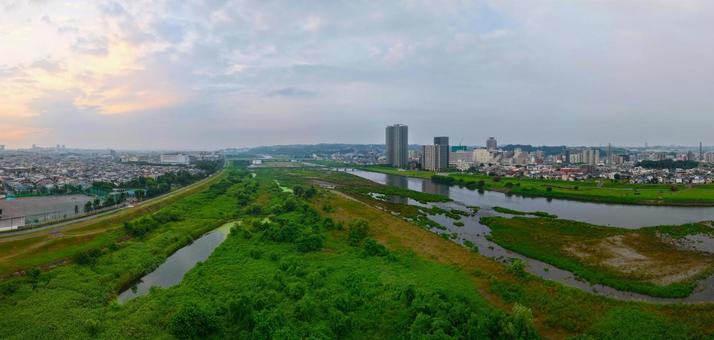 多摩川河川敷の緑 多摩川河川敷の緑の写真
