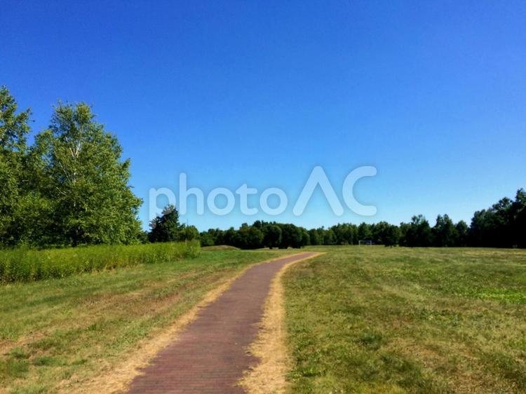 芝生の中の一本道 青,快晴,夏の写真素材