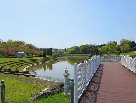 あいち健康の森公園 あいち健康の森公園 あいち健康の森公園,公園,池の写真素材