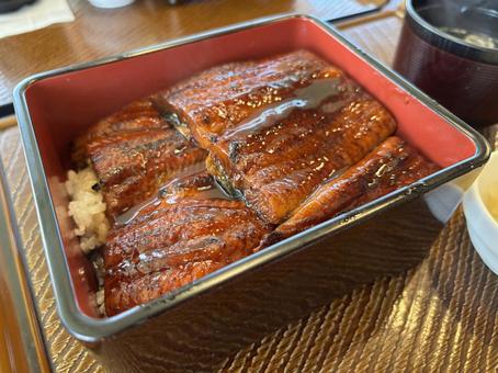 うな重 うな重 料理,和食,うなぎの写真素材