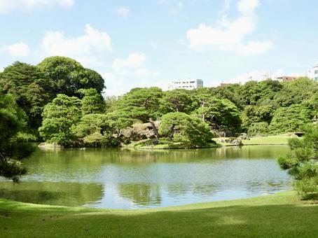 特別名勝六義園中の島7 六義園,庭園,大名庭園の写真素材