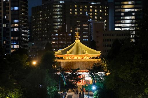 不忍池辯天堂の夜景 不忍池辯天堂,不忍池,上野の写真素材
