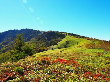 紅葉(根子岳) 紅葉(根子岳) 紅葉,もみじ,秋の写真素材