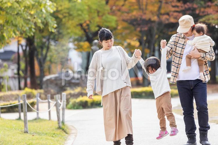 秋の公園で遊ぶ家族・ファミリー 家族,子供,ファミリーの写真素材