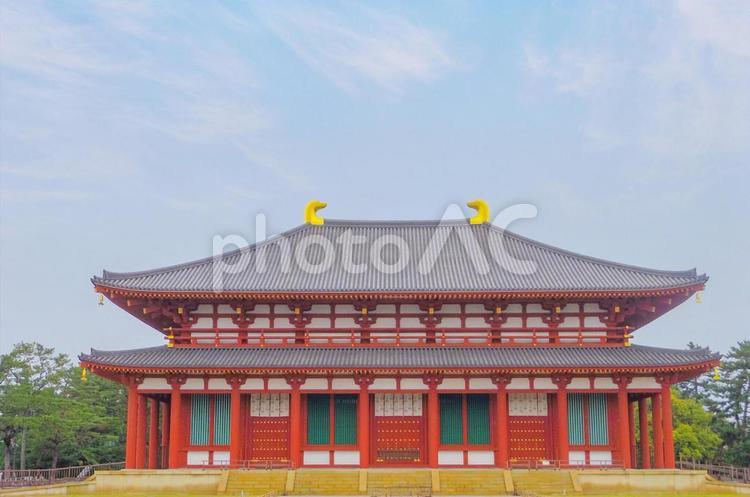 【奈良県】興福寺中金堂 興福寺,中金堂,奈良の写真素材