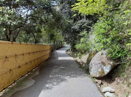 鋸山の山道|マイナスイオンで気持ちいい 鋸山の山道|マイナスイオンで気持ちいい 山道,道,誰もいないの写真素材