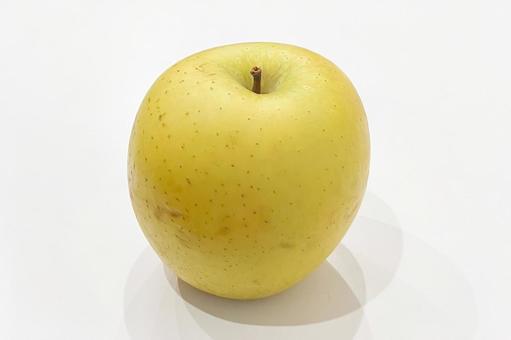 リンゴ リンゴ,アップル,林檎の写真素材