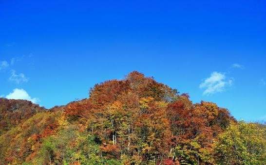 秋の山の紅葉と青空 紅葉,山,秋の写真素材