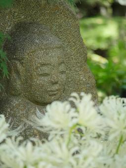 Stone Buddha and white spider lilies, JPG