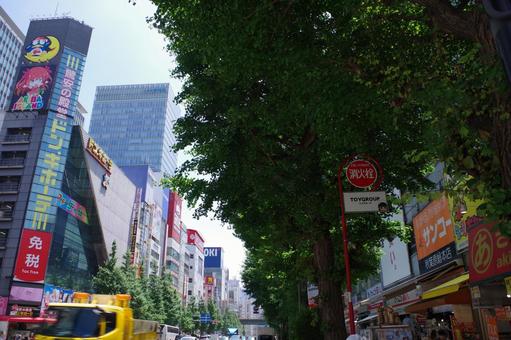 秋葉原2025夏　中央通り南向き 秋葉原,中央通り,外神田3丁目の写真素材
