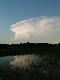 映り雲 映り雲の写真