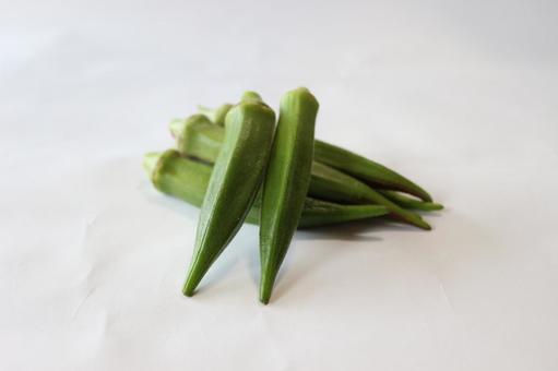 オクラ おくら 陸蓮根 オクラ おくら 陸蓮根 おくら,陸蓮根,緑の写真素材