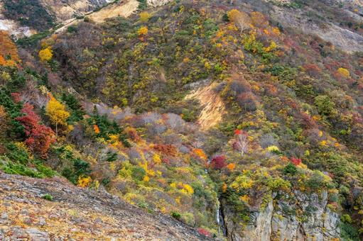 蔵王の紅葉(28) 蔵王,紅葉,秋の写真素材