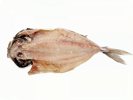 アジの開き アジの開き,アジ,鯵の写真素材