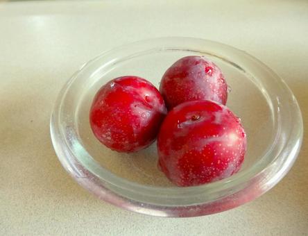 食べごろのすもも 食べごろのすもも 赤い,実,果物の写真素材