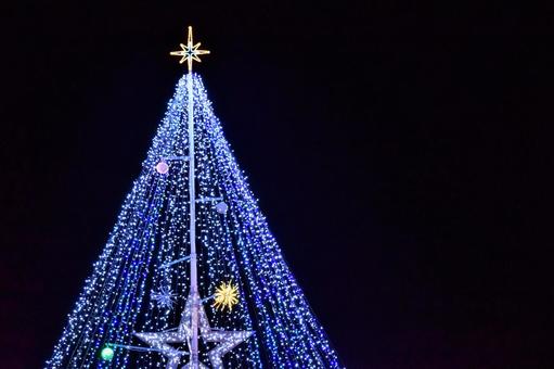 Illuminations of a glittering Christmas tree on a black background, illuminated Christmas tree, JPG Illuminations of a glittering Christmas tree on a black background, illuminated Christmas tree, JPG