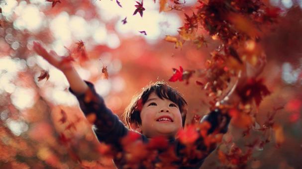 紅葉した落ち葉を投げて遊ぶ男の子の写真