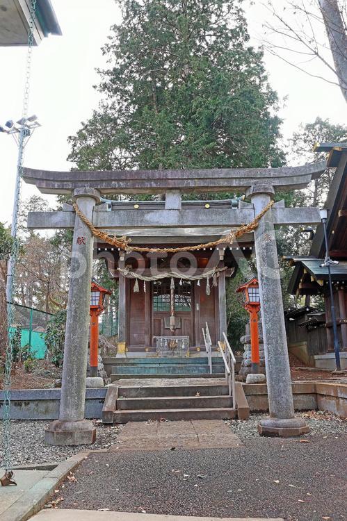 六所神社（世田谷） 六所神社,武蔵総社六所宮分霊,天照皇大神の写真素材