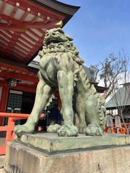 狛犬 神社,狛犬,昼の写真素材